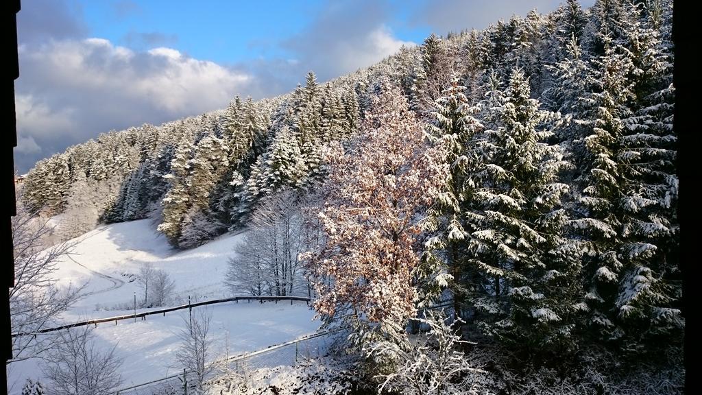 Apartamento Waldblick Tonbach Baiersbronn Habitación foto