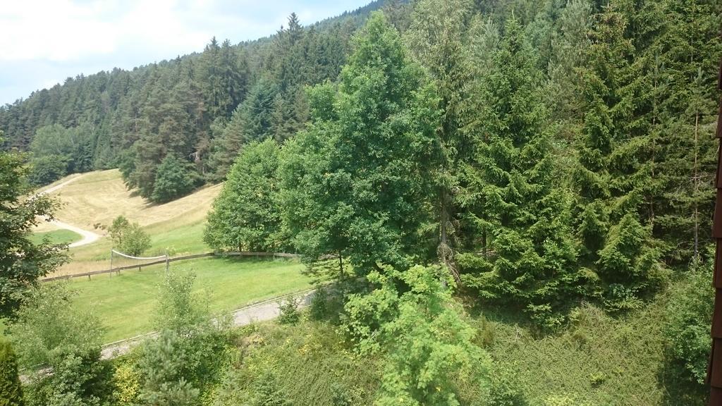 Apartamento Waldblick Tonbach Baiersbronn Habitación foto