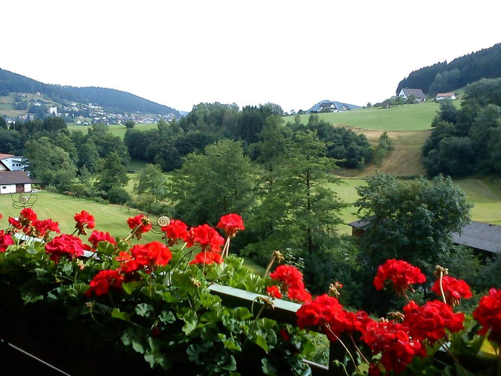 Apartamento Waldblick Tonbach Baiersbronn Habitación foto